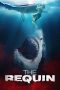 Nonton Film The Requin (2022) Nonton Film The Requin (2022)